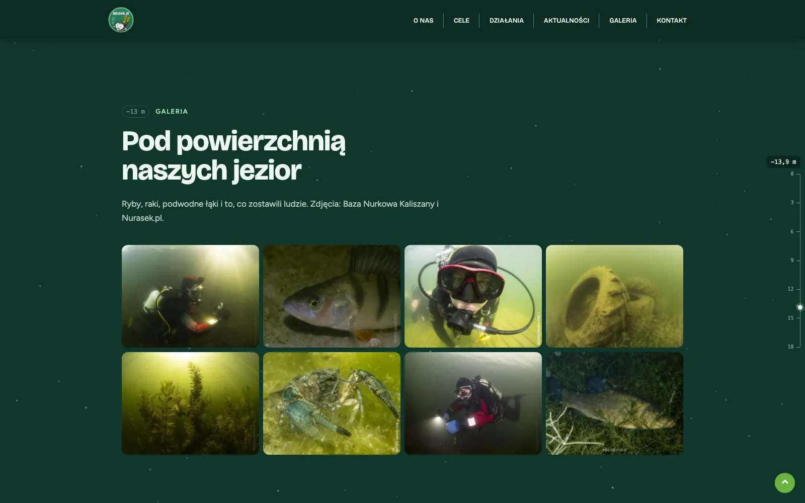 Galeria Pod powierzchnią naszych jezior — nurkowie, okoń, rak, podwodne łąki i śmieci na dnie